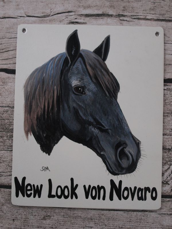New Look von Novaro